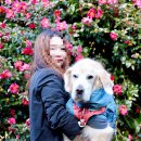 서광리-9 이미지