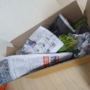 세복농장 | [후기] 농라 카페 꽃드림 팡팡 주문해 본 솔직 후기