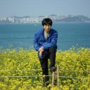 사범단 이미지