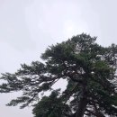 어단1리 이미지