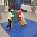 태권도 다움 이미지