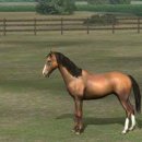 왕뼈감자탕 고척점 이미지