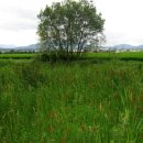 천보산농장 이미지