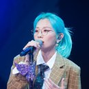 데일리조치원점 이미지