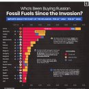 어느 나라에서 러시아 화석 연료를 구매하고 있습니까? 이미지