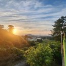 백마정비 | 제주시 말고기 백마가든 이색음식