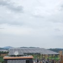감사 태양광발전소 이미지