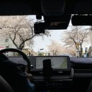 천제연약국 이미지