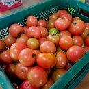 은상농장 이미지