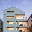 여행하는 나무 이미지