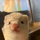 와우(양산점) 이미지