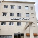 맹그로브 고성 | [후기] 고성으로 혼자 뚜벅이 워케이션 다녀 온 맹그로브 고성 2박 오션뷰 객실 숙박 후기