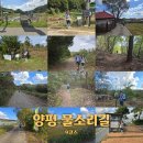 새마을(망성2리) | 경기 양평 가볼만한곳 양평 물소리길 9코스 구둔역폐역