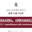 분당24시동물의료센터 네이버블로그
