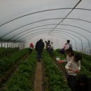 임영택농장 이미지