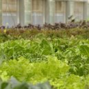 추산농장 이미지