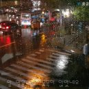 ♡ 비와 찻잔 사이 (배따라기) 이미지