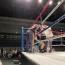 프로한의원 이미지