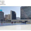 서울 광장 스케이트장 이미지