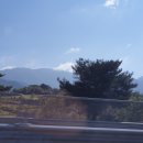 침곡리 입구 이미지