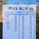 181차 영양 자작나무 숲 이미지