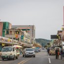 인삼가격 하락 금산 수삼시장 3곳 방문 후기