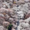 제이케이통신 이미지