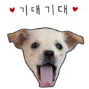 포에버얌(PHOever Yum) 이미지