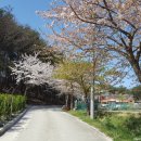 상시동2리 이미지