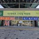 (주)라이프코리아 | [SETEC 박람회 후기] 더 라이프 스타일 박람회 2025에서 만난 브레인트레인코리아 시니어 인지운동 체험