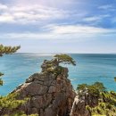 선정1리마을회 이미지