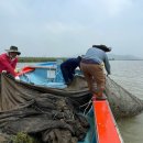 동원어구 이미지