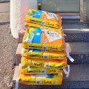 청호동주민센터 이미지