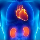 오장전자 이미지