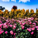 섬진강기차마을 제3주차장 이미지