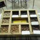 제주커피박물관바움 이미지