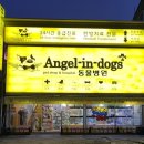 엔젤인독스