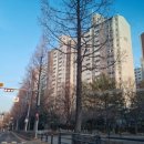 드림피아약국 이미지