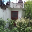 덕진-121 이미지