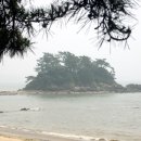 원안해수욕장 Daum카페
