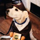 그린동물병원 이미지