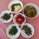꼭그집 | [전남 여수] 여수 삼합 맛집 교동포차거리 첫집: 교동포차 삼순이 23번 해물삼합 후기