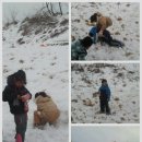 설매공원 이미지