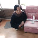 영남이용소 Daum카페