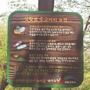 생활정보ㅡ 산행시 응급처치ㅡ 이미지