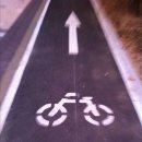 왕숙천 자전거도로9 이미지