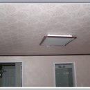 한라동백@ 이미지