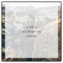 서울튼튼정형외과의원 이미지