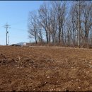 초지로1 이미지