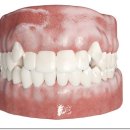 외동치과의원 이미지